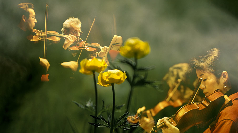orchestra