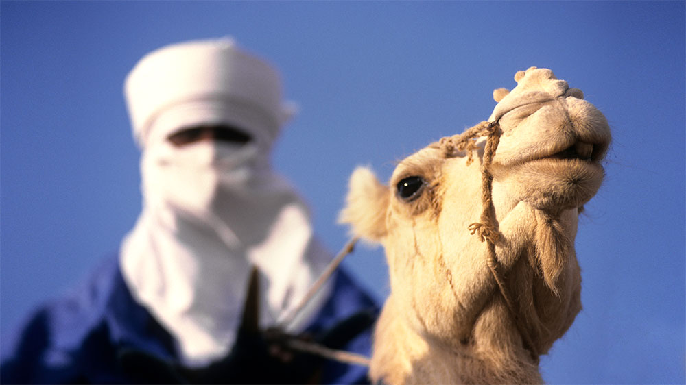 algeria