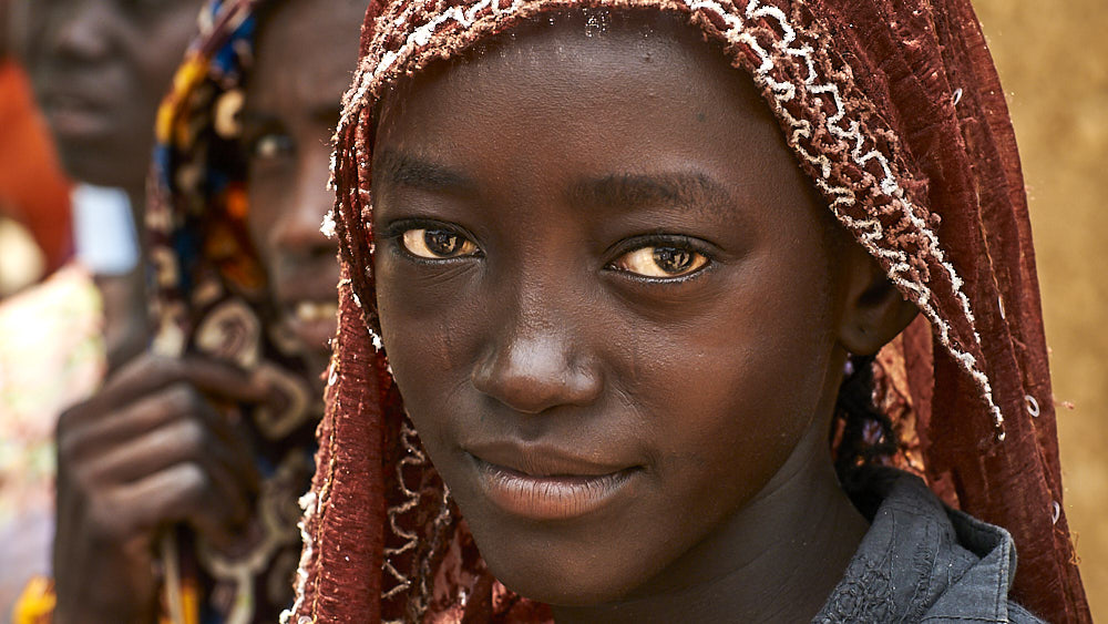 volto niger