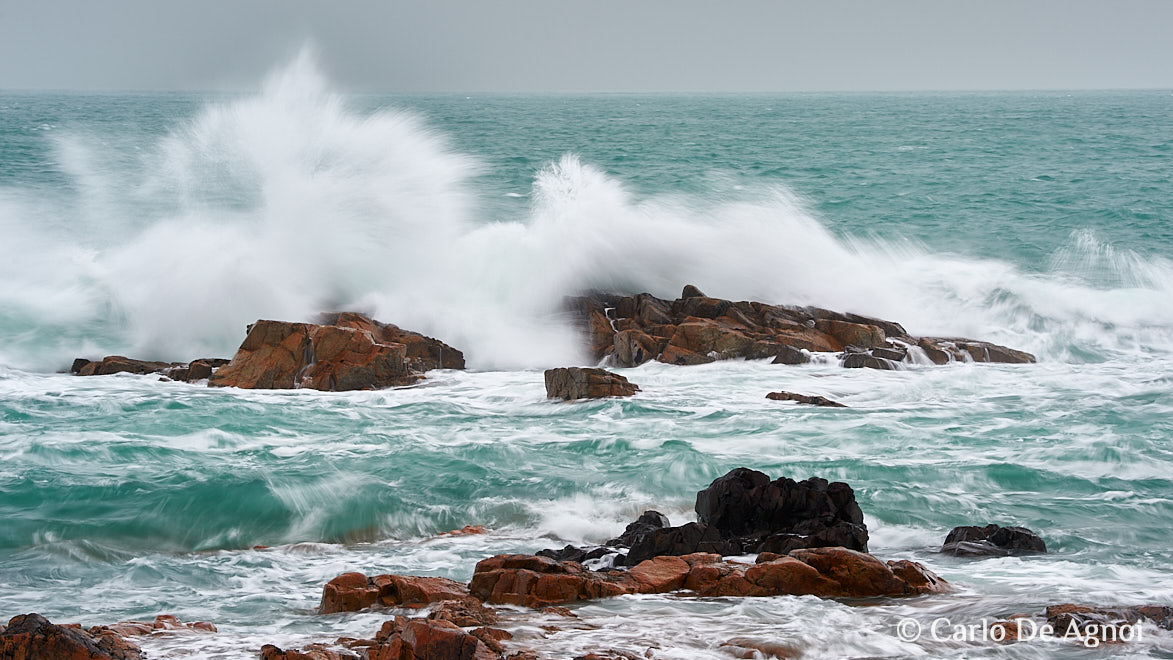 mare