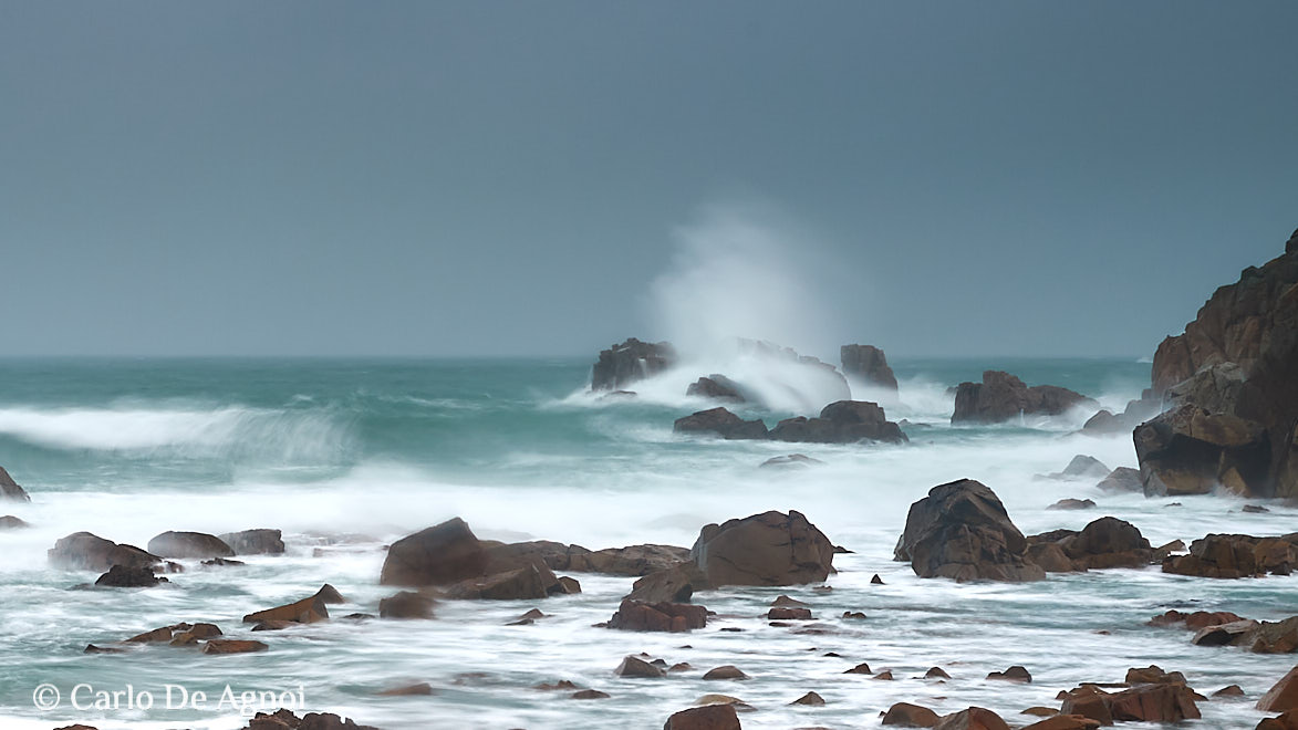 mare