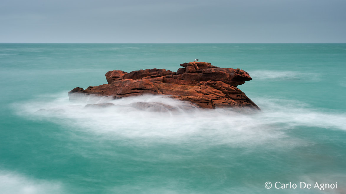 mare