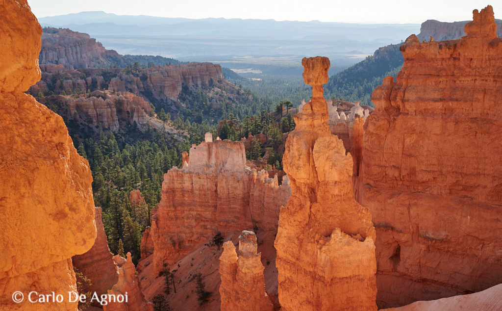 Aïe!  34+  Faits sur  Colorado Plateau Usa: Colorado plateau, physiographic region of sw north america, c.150,000 sq mi (388,500 sq km), in arizona, utah, colorado, and new mexico, including the four corners area.